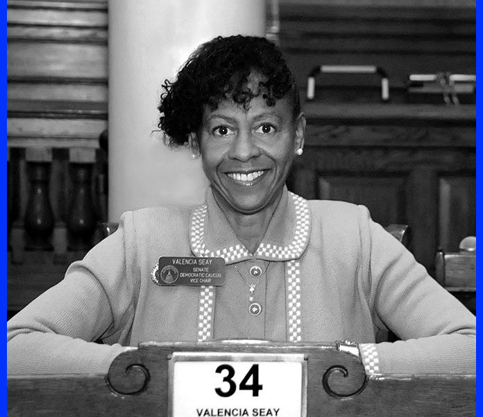 Democrat Valencia Seay, State Senator, District 34
